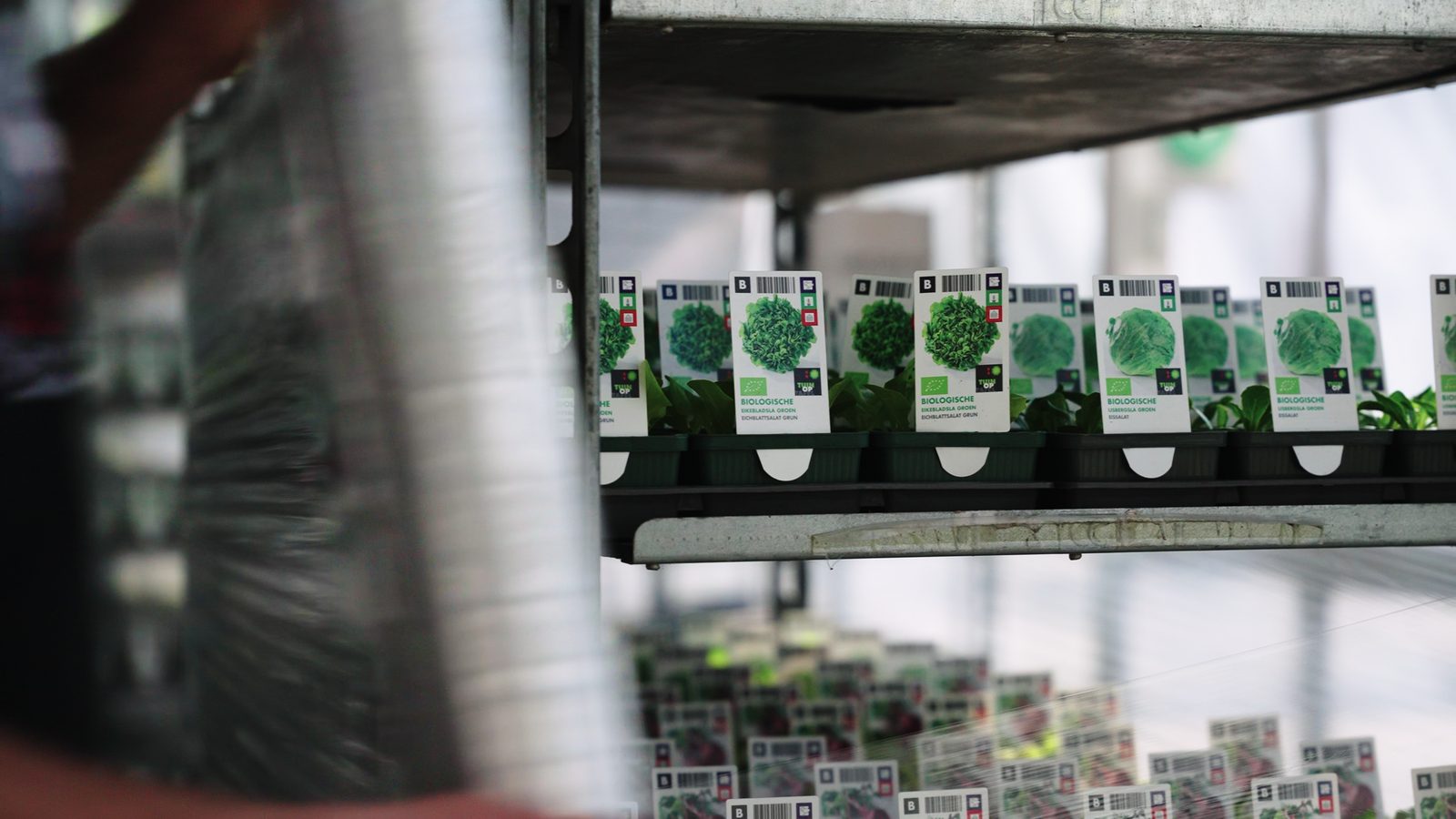 Planten gereed voor levering